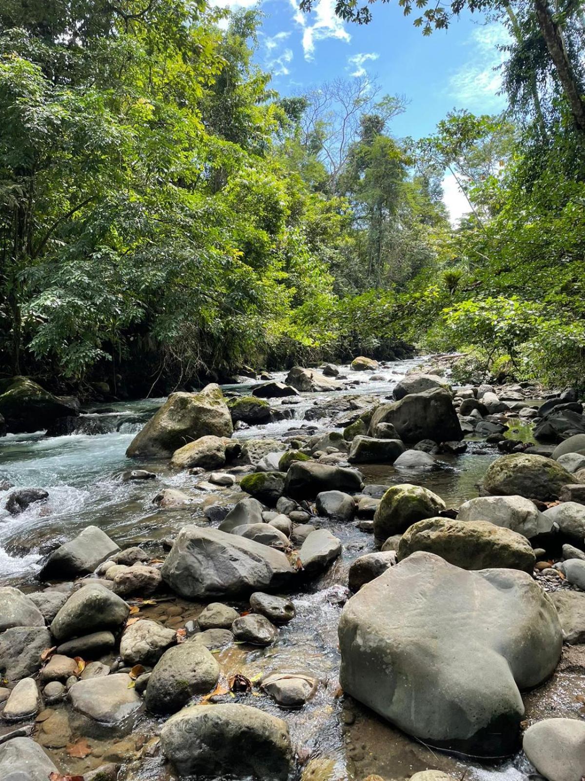Cabinas La Catarata La Fortuna Zewnętrze zdjęcie